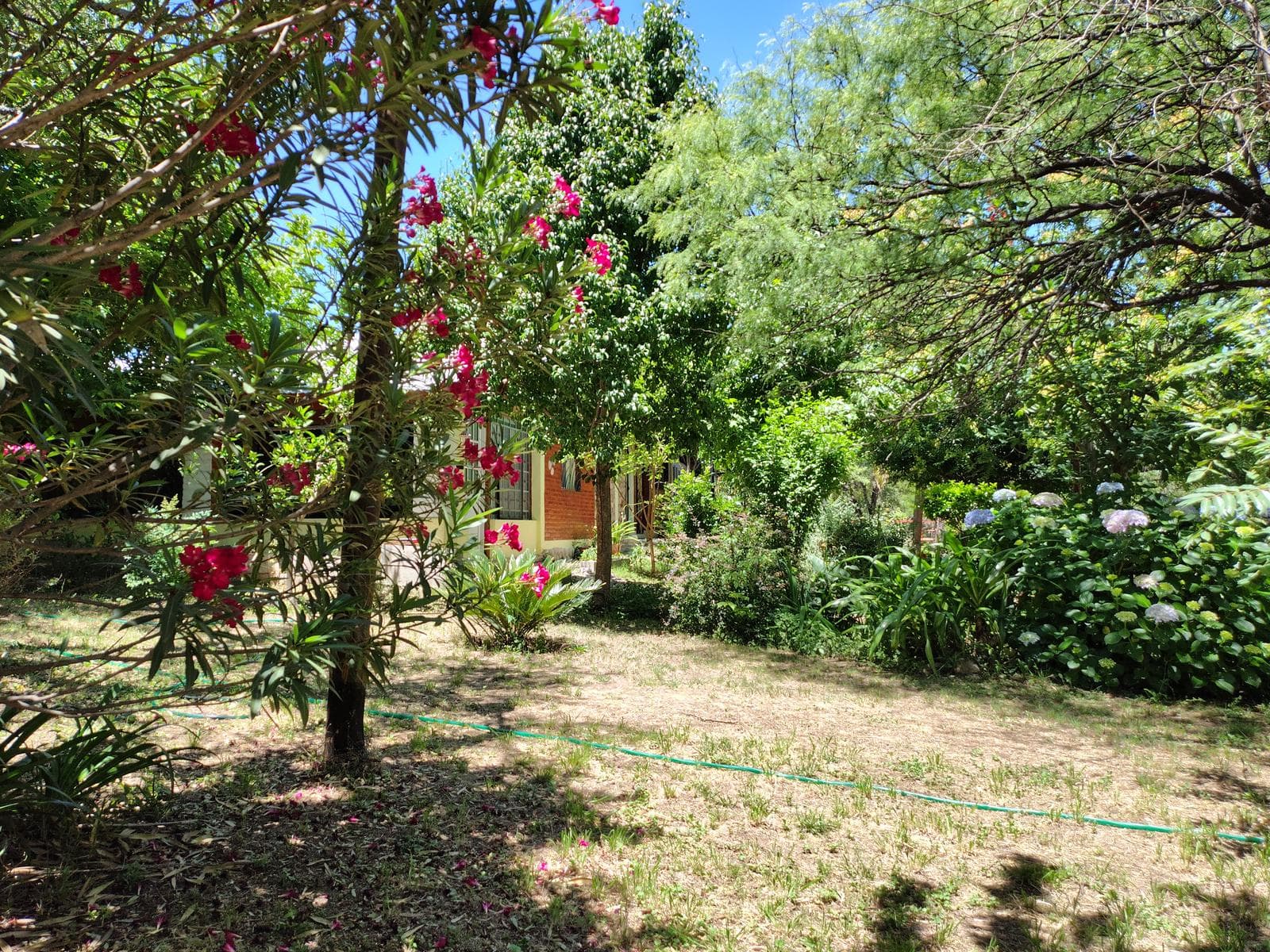 New Listing! Bargain: 2-Bedroom House with Yoga Studio | Villa de Las Rosas | USD 159,000