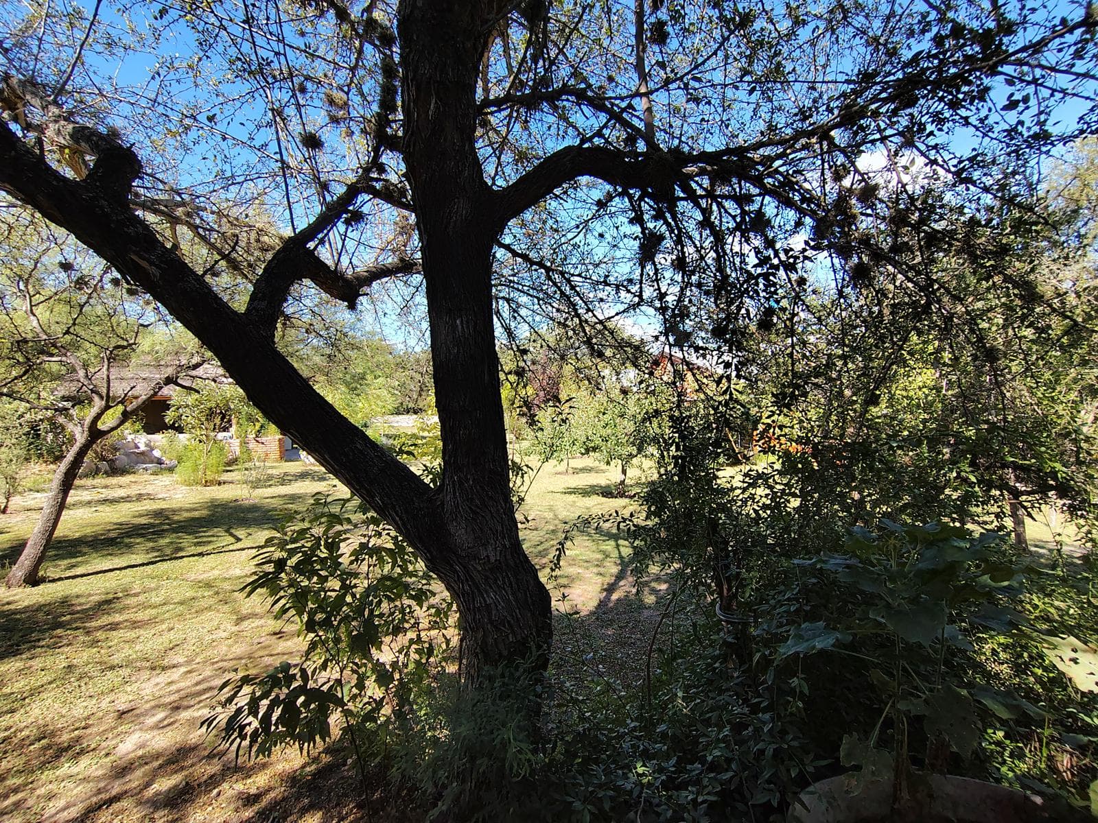 New Listing! Bargain: 2-Bedroom House with Yoga Studio | Villa de Las Rosas | USD 159,000