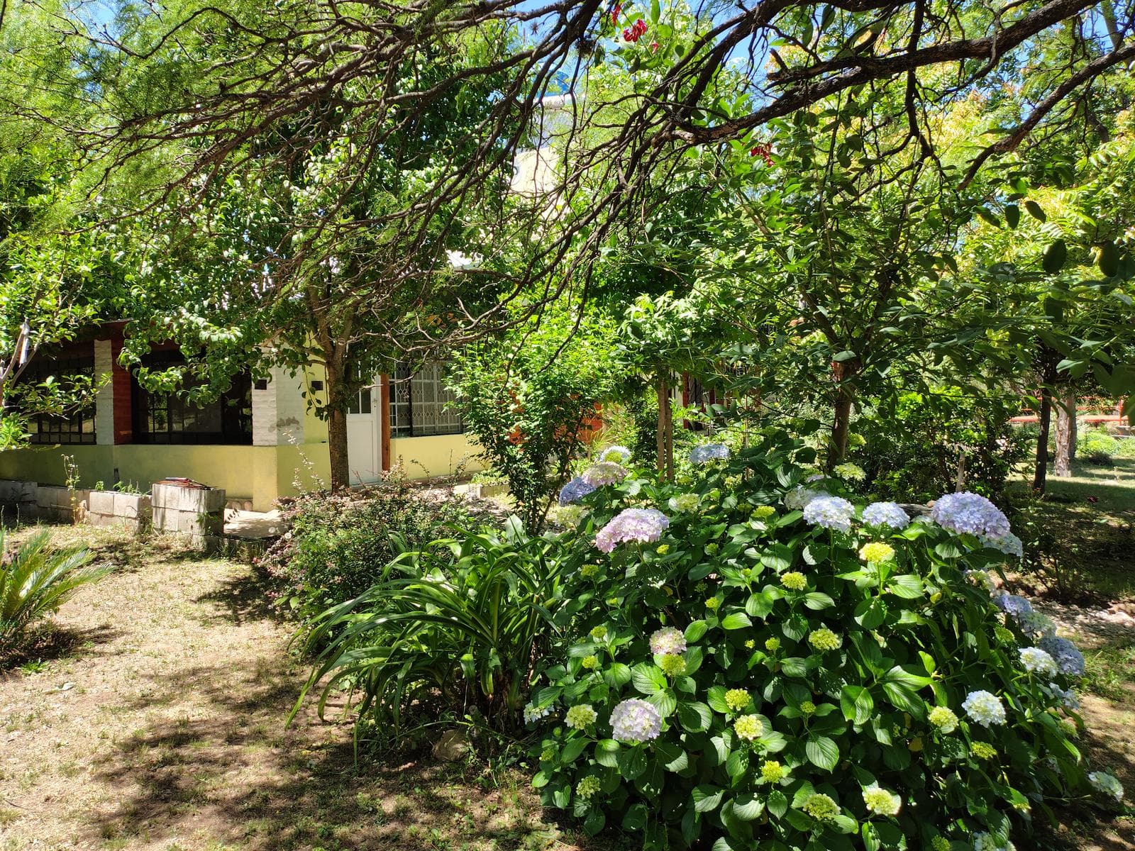 New Listing! Bargain: 2-Bedroom House with Yoga Studio | Villa de Las Rosas | USD 159,000