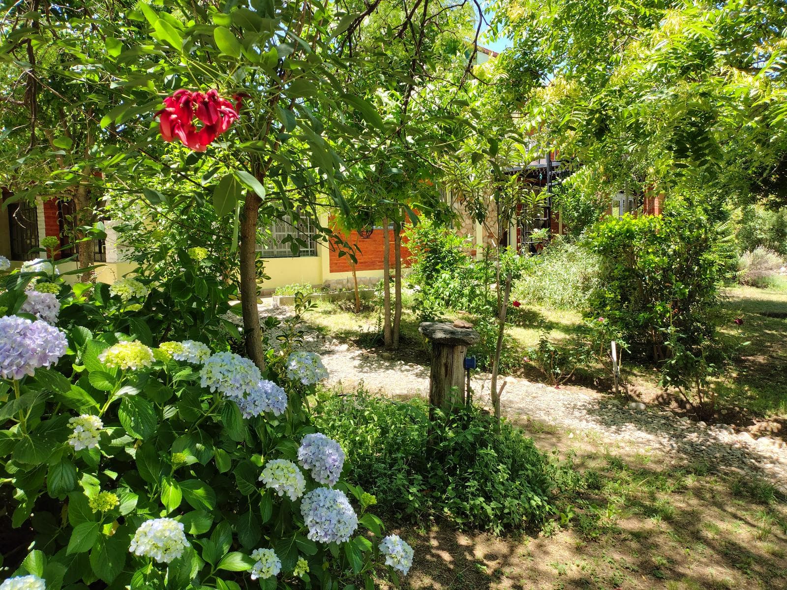 New Listing! Bargain: 2-Bedroom House with Yoga Studio | Villa de Las Rosas | USD 159,000