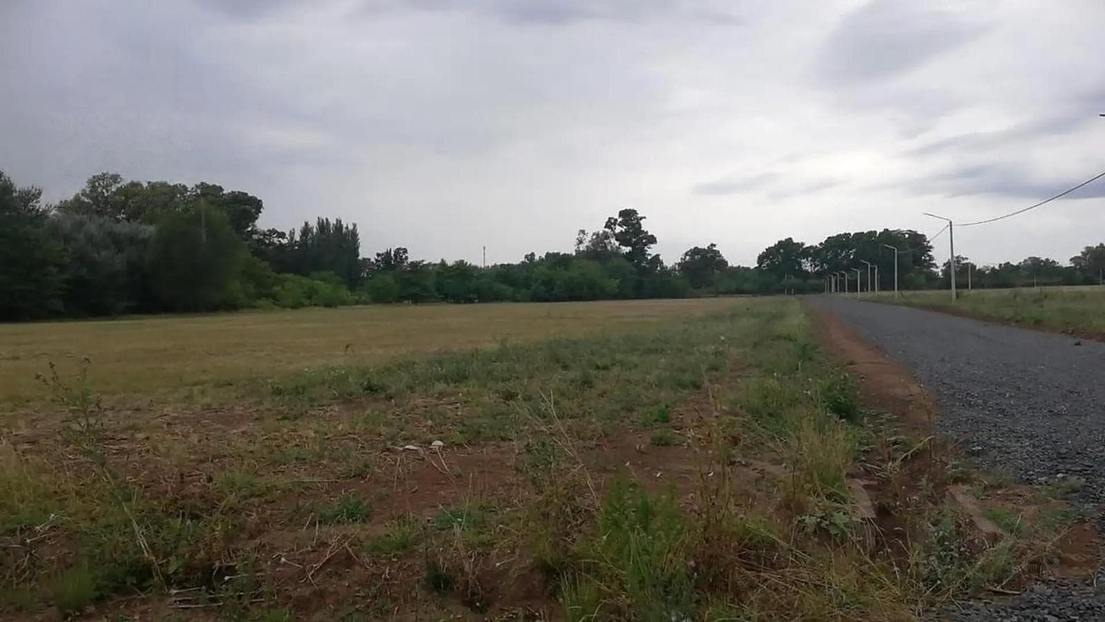 Land for Sale in Fincas de Boote - Loma Verde