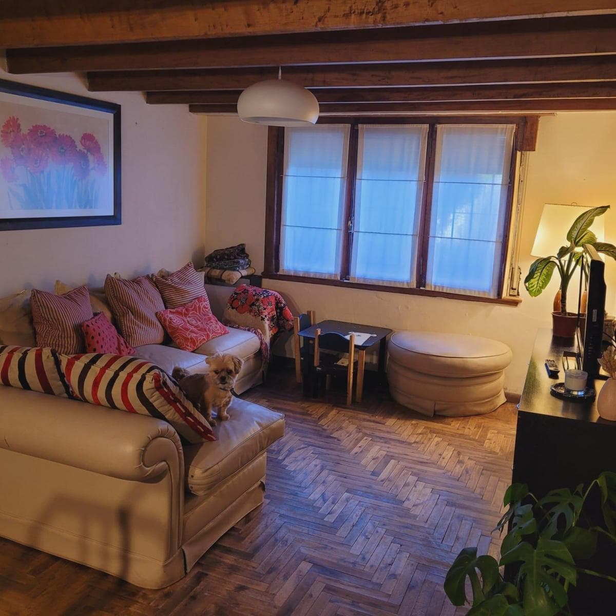 Venta Chalet Depto en Parque Luro - APTO CREDITO