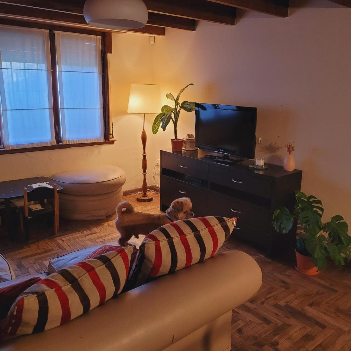 Venta Chalet Depto en Parque Luro - APTO CREDITO