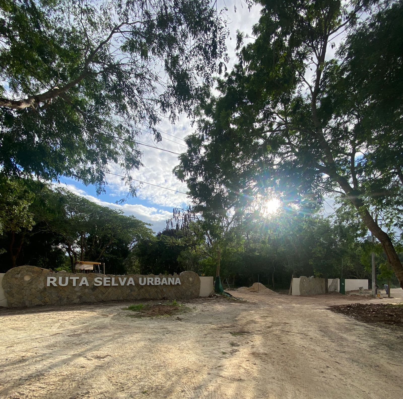 Residential Lots Available for Immediate Move-In in Puerto Morelos with a Cenote