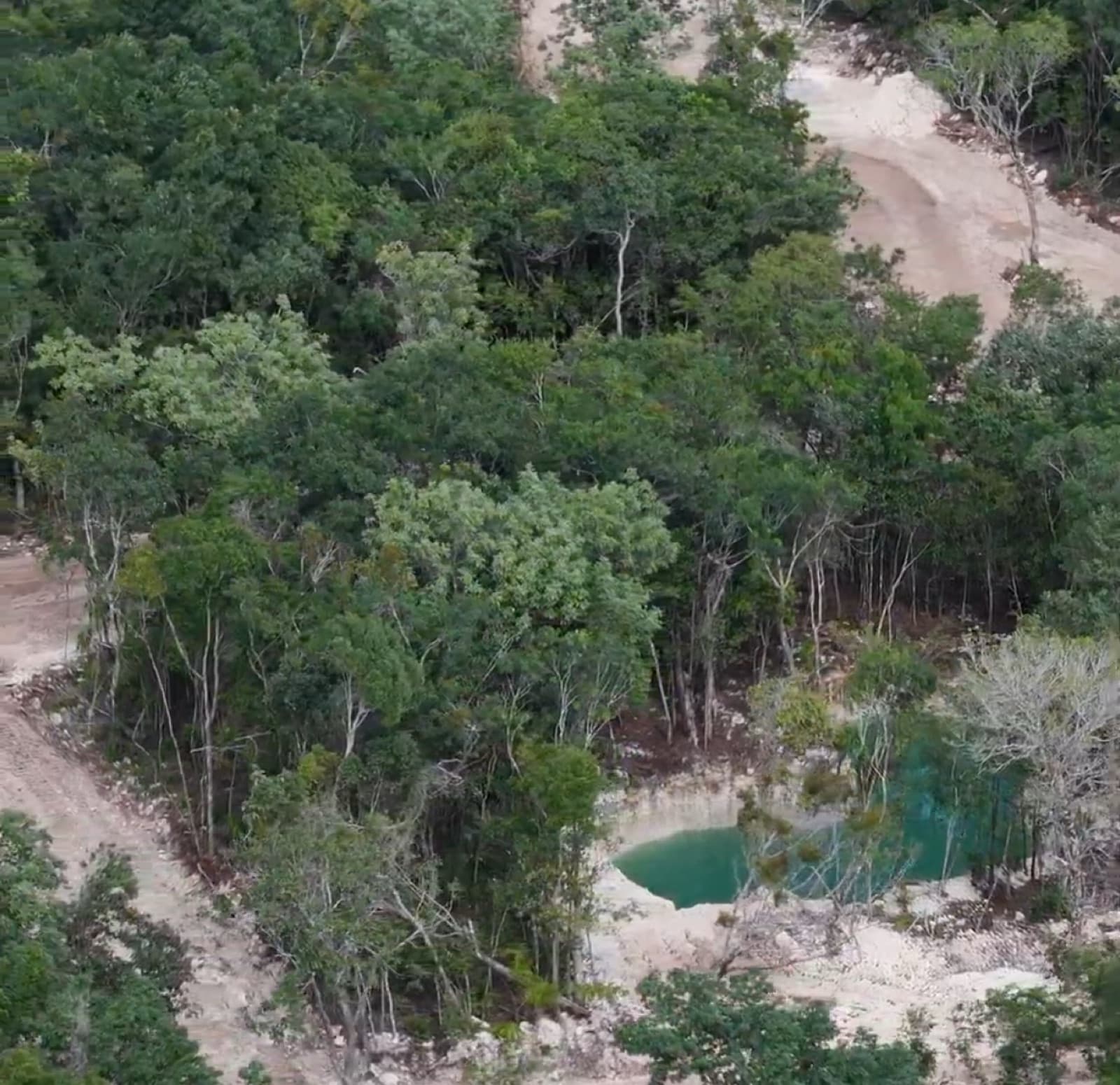 Residential Lots Available for Immediate Move-In in Puerto Morelos with a Cenote