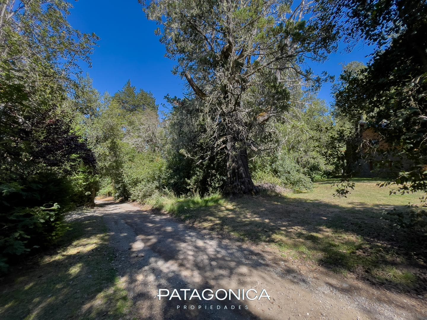 FOR SALE: 1,372 m² LOT, LAS LOMAS GATED COMMUNITY, VILLA LA ANGOSTURA