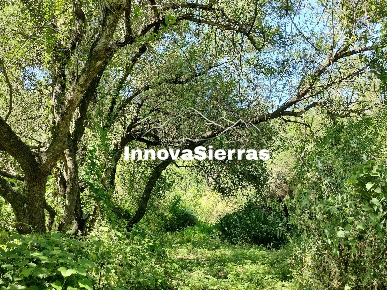 3,900 m² Lot | Deed | Utilities | Villa de Las Rosas