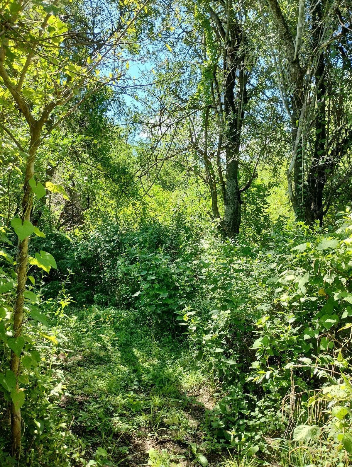 3,900 m² Lot | Deed | Utilities | Villa de Las Rosas