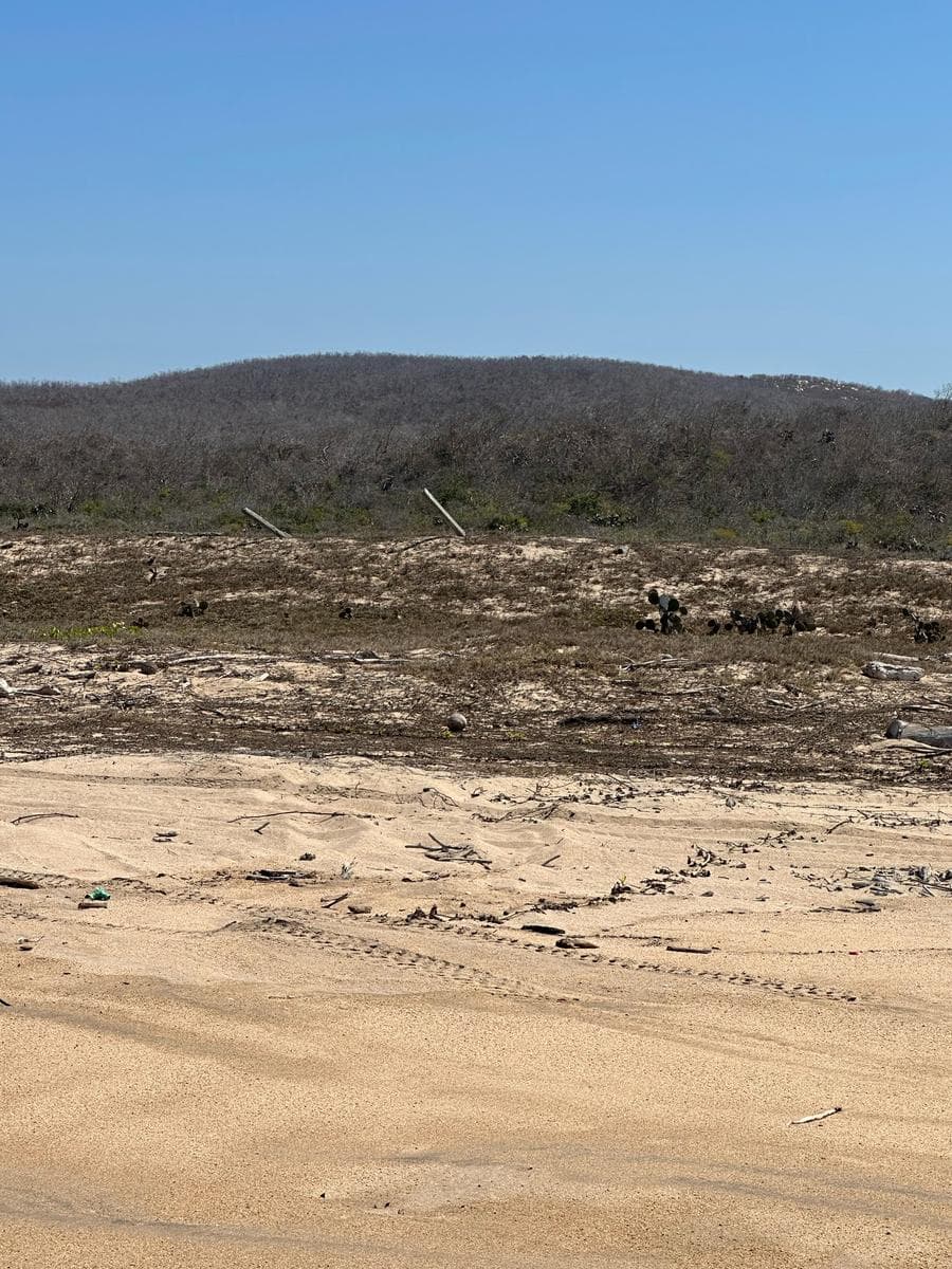 Land for Sale in Playa La Boquita, Oceanfront Investment in Jalisco