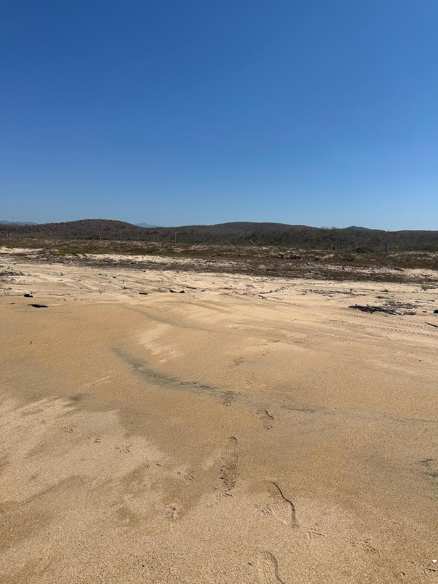Land for Sale in Playa La Boquita, Oceanfront Investment in Jalisco