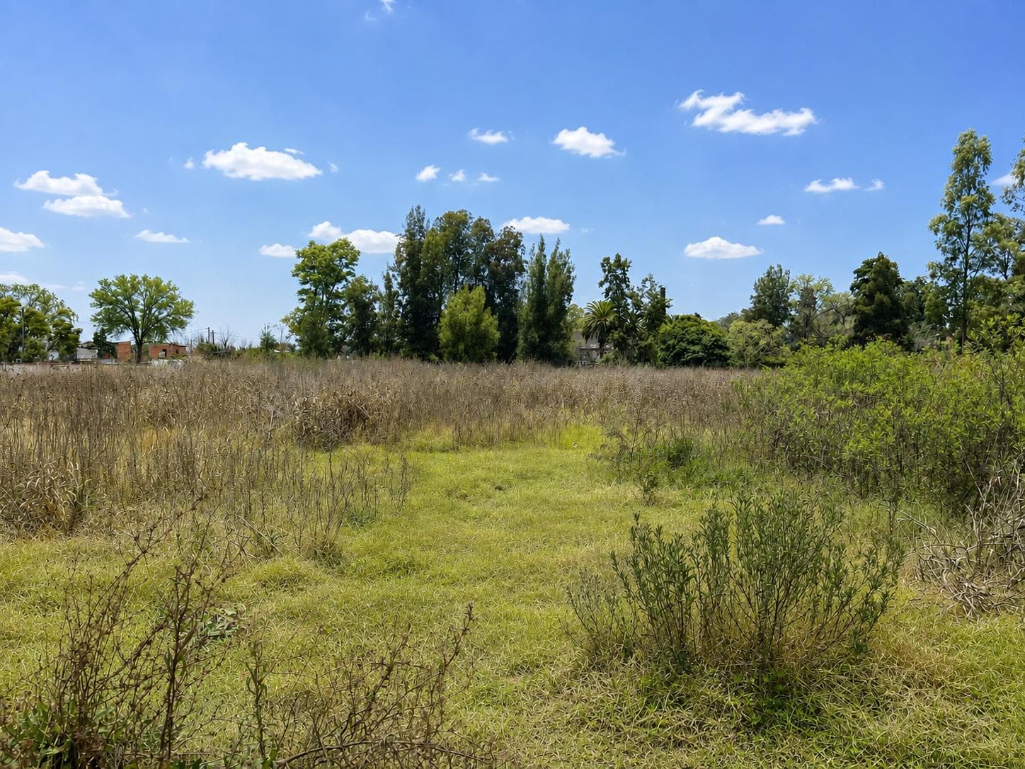 Lot on Corsini Street (right next to the Las Glorias neighborhood)