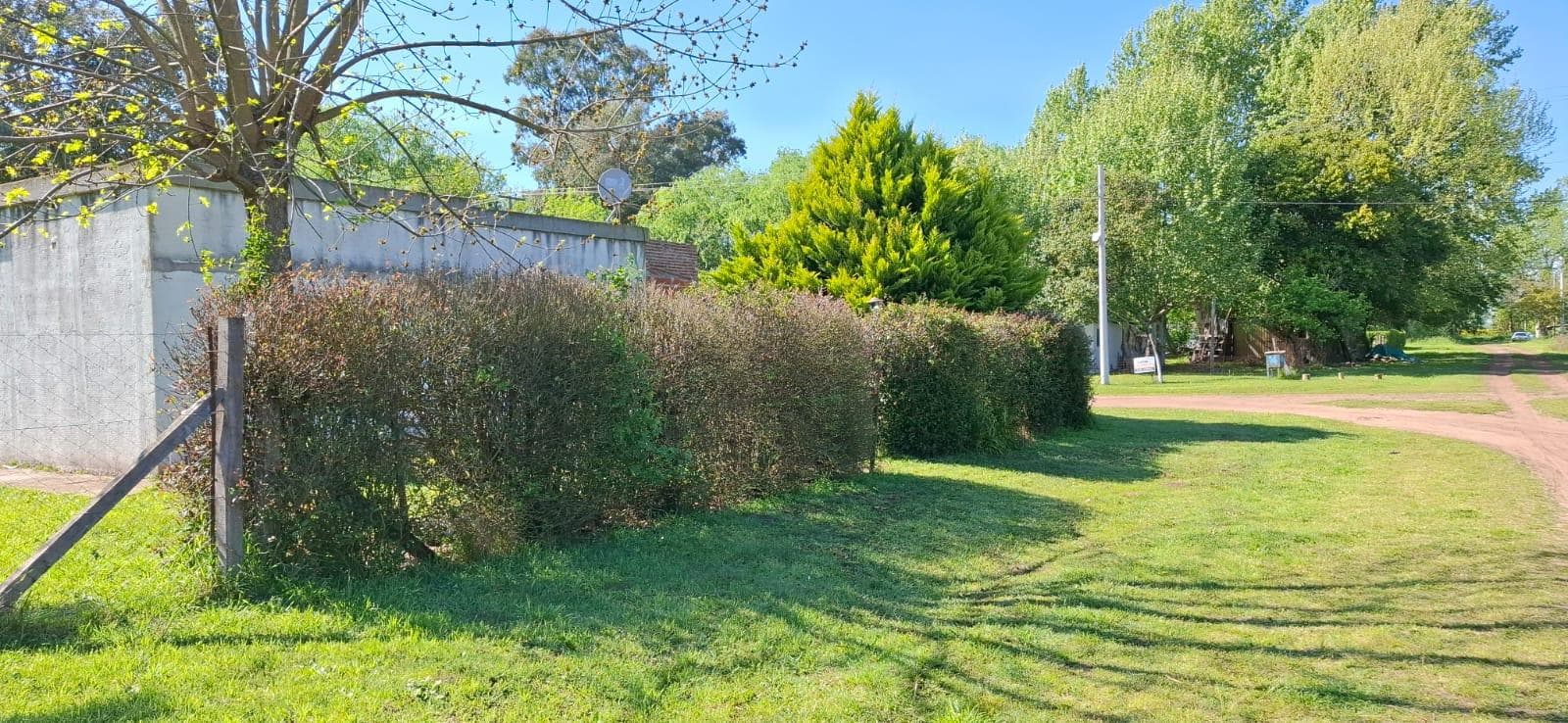 The country home you've always dreamed of! in Ernestina