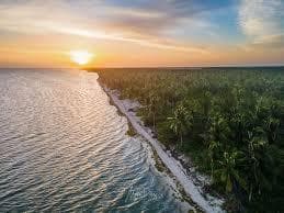 Land for Sale in Santa Clara Beach, Yucatán—Oceanfront