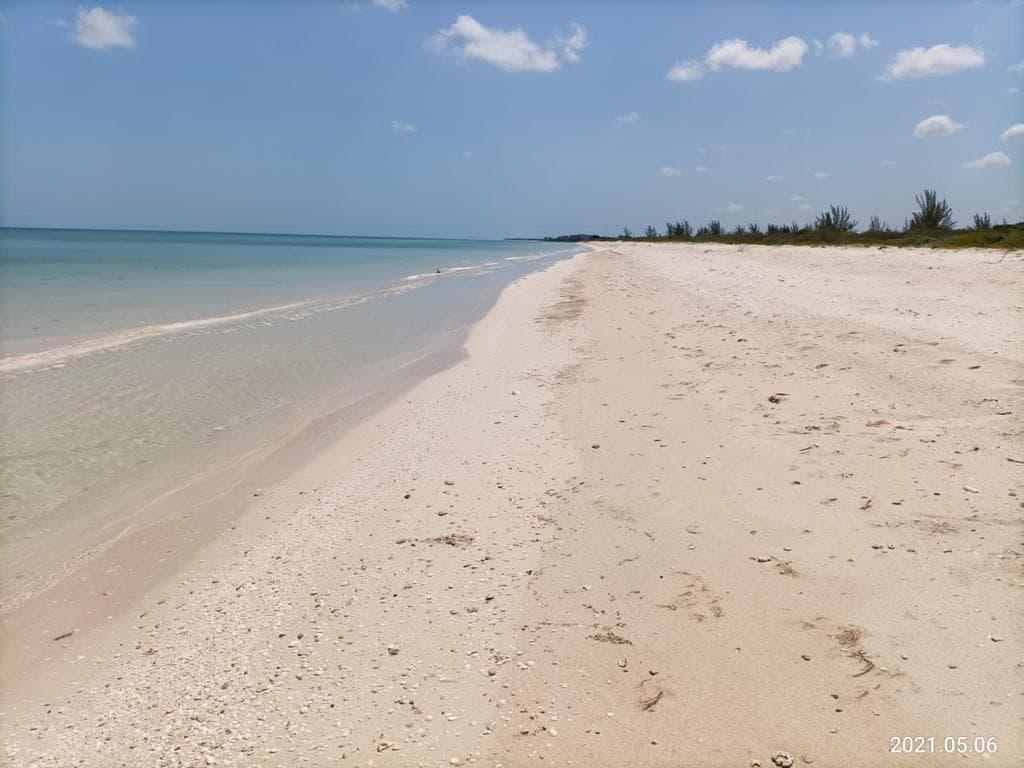 Lot in the second row in Sisal, Yucatán