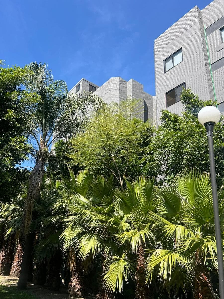 Apartment for SALE IN ZAVALETA