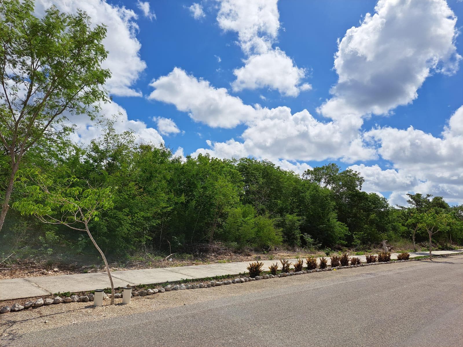LAND FOR SALE IN MÉRIDA IN THE DZIDZIL-HÁ RESIDENTIAL COMPLEX WITH HIGH APPRECIATION POTENTIAL
