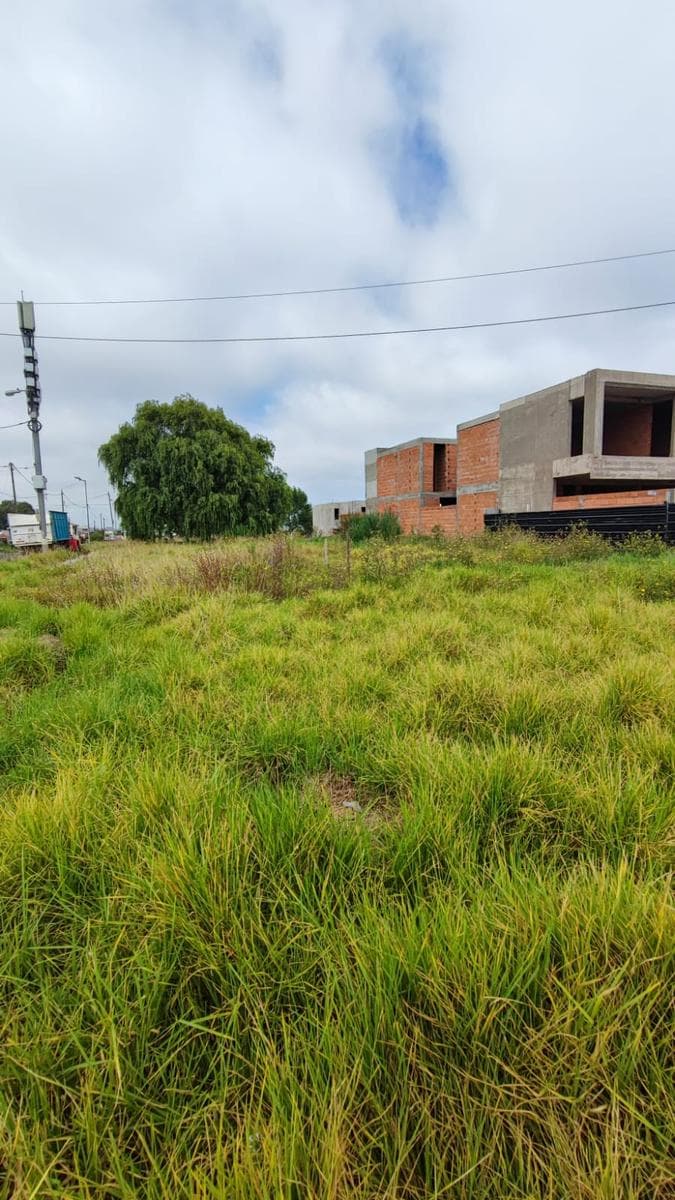 Development Lot on Paso Avenue, San Carlos Neighborhood