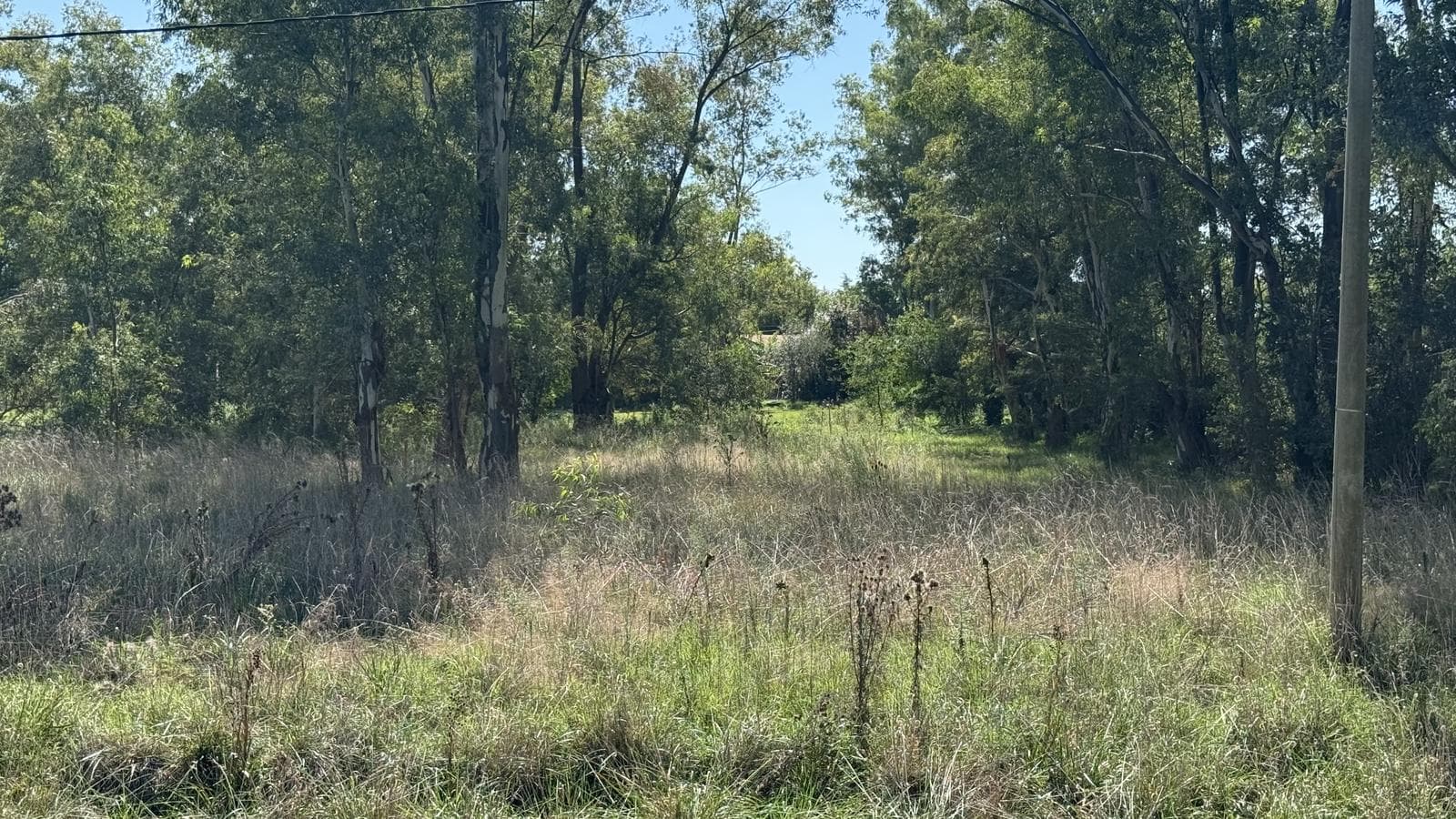 Land in Salvador María—A Great Opportunity!