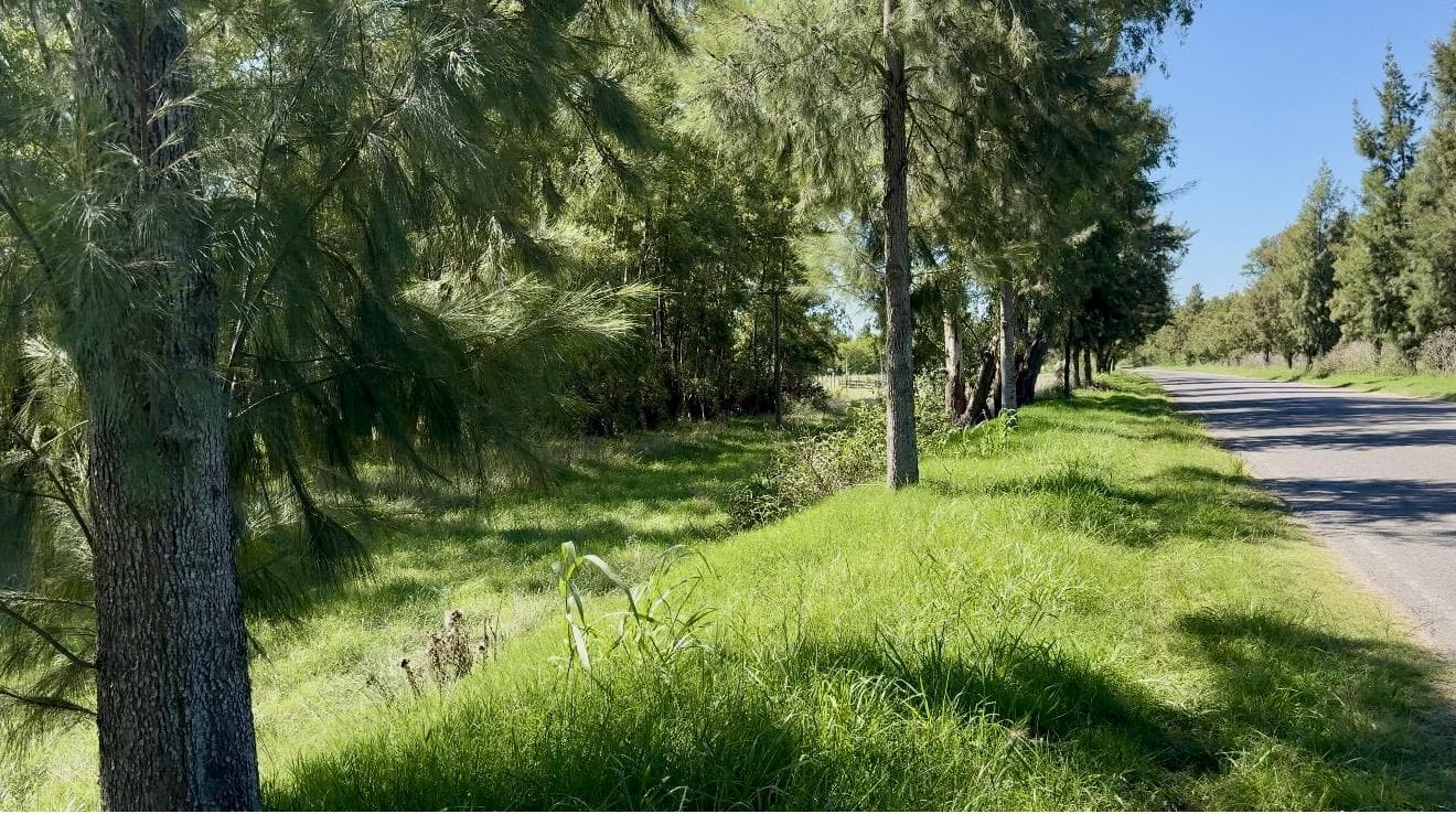 Land in Salvador María—A Great Opportunity!
