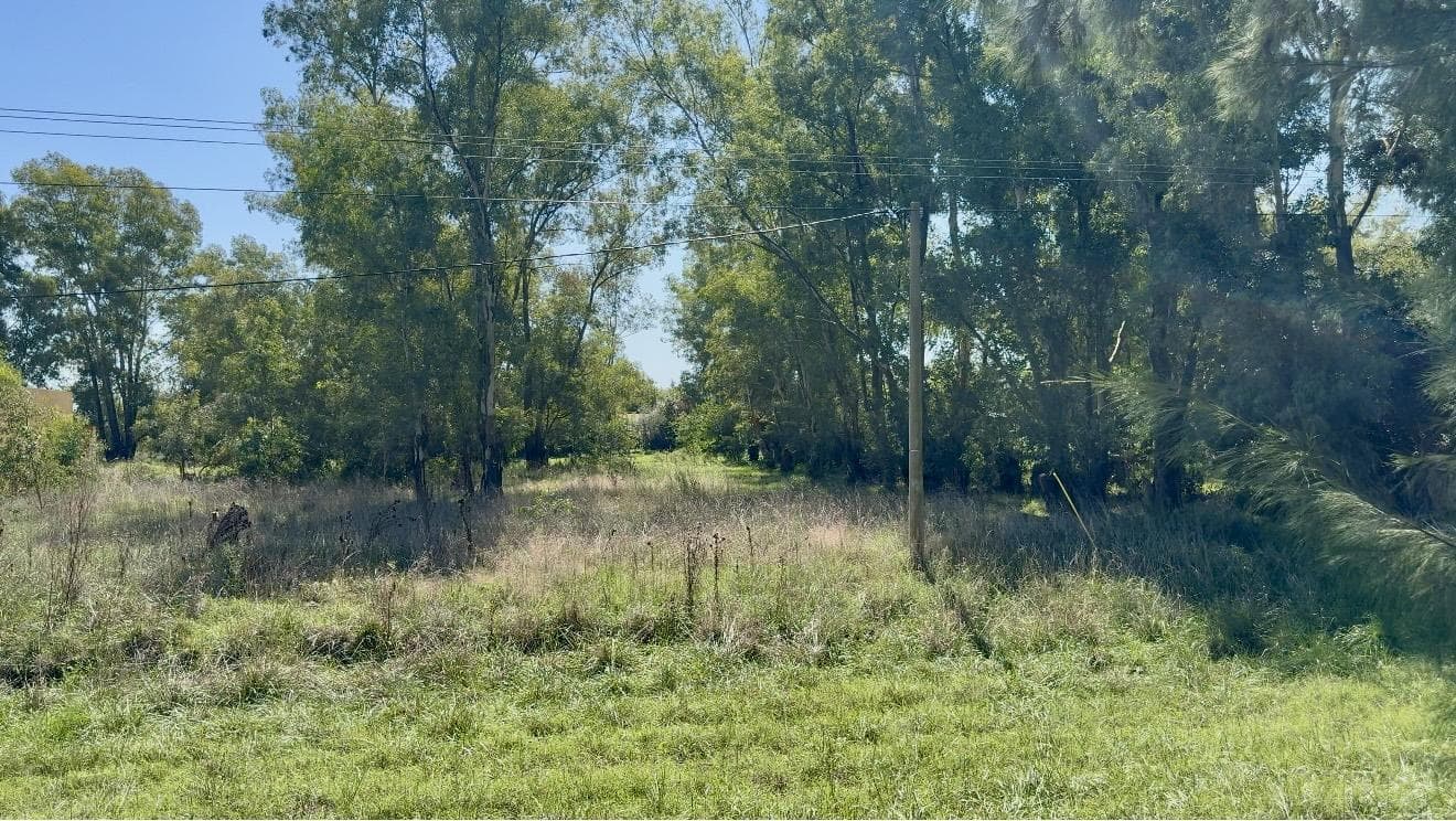 Land in Salvador María—A Great Opportunity!