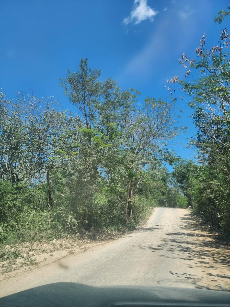 LAND FOR SALE IN VALLADOLID ON THE ROAD TO CHICHIKÁN