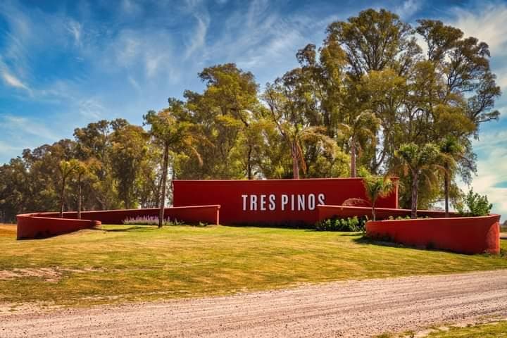 Lot in the Autosustentable Neighborhood - Tres Pinos - Laguna Neighborhood