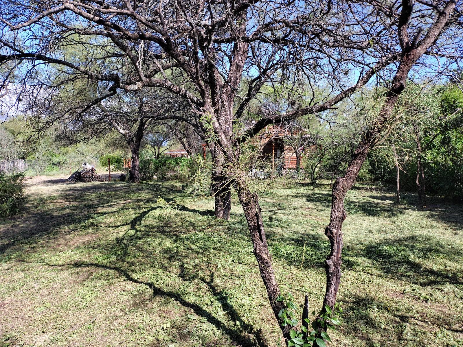 1,000 m² Wooded Lot | La Aguadita, Villa de Las Rosas | Financing Available | Excellent Setting