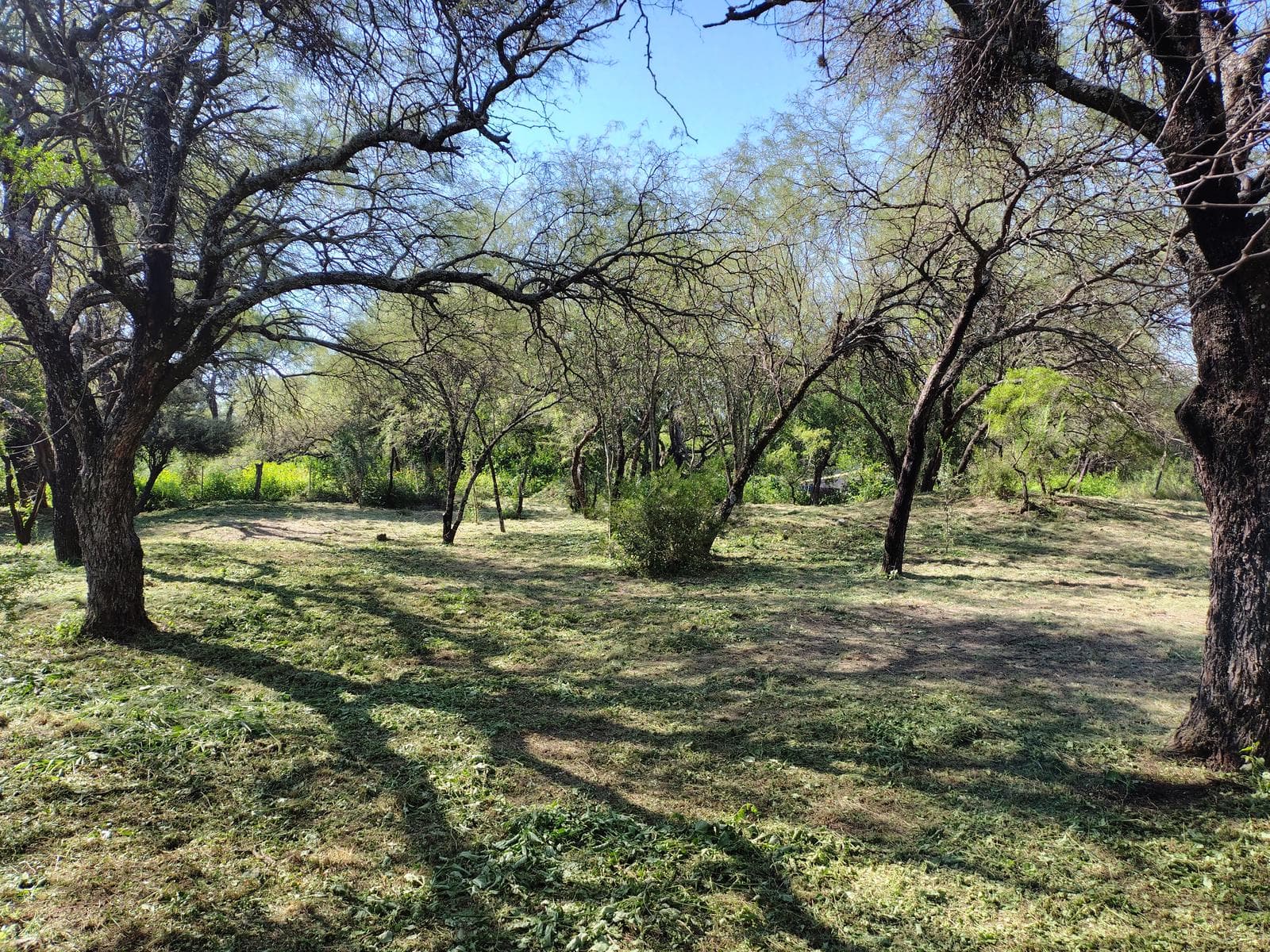 1,000 m² Wooded Lot | La Aguadita, Villa de Las Rosas | Financing Available | Excellent Setting
