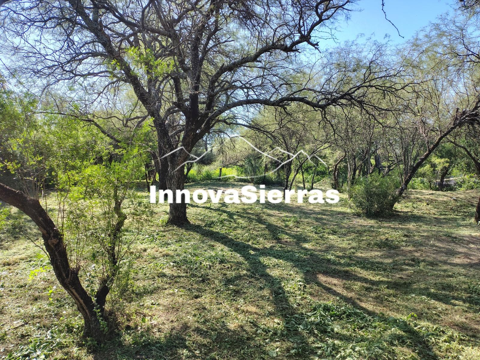 1,000 m² Wooded Lot | La Aguadita, Villa de Las Rosas | Financing Available | Excellent Setting