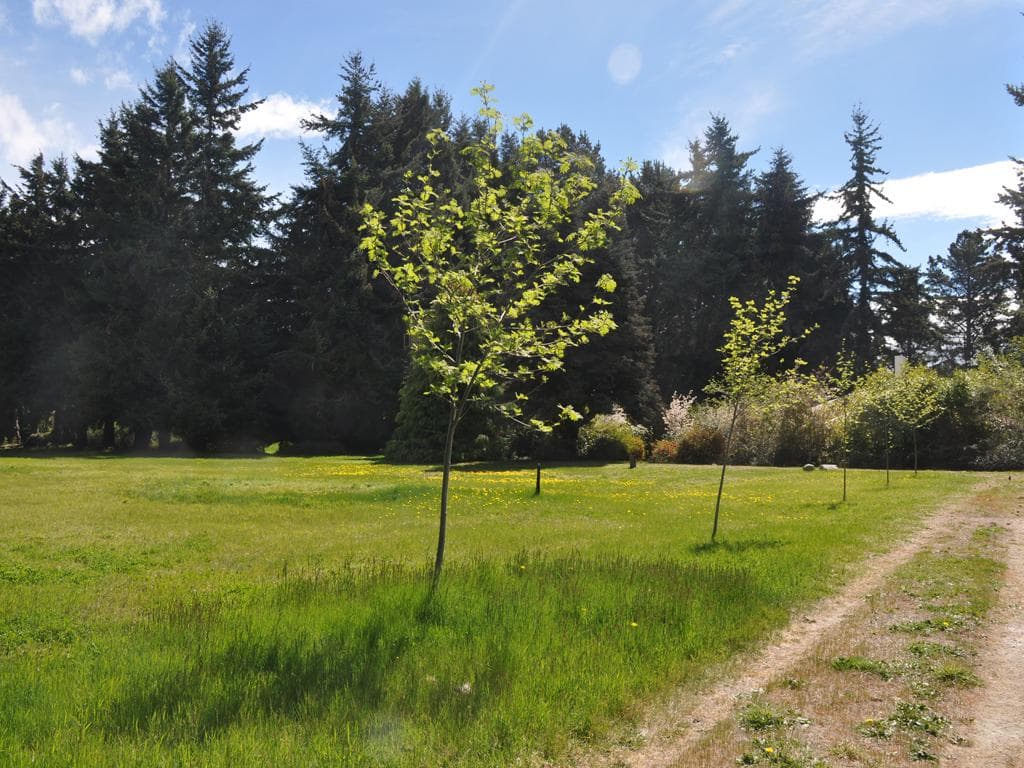 Gated Community—Access to Lake Nahuel Huapi