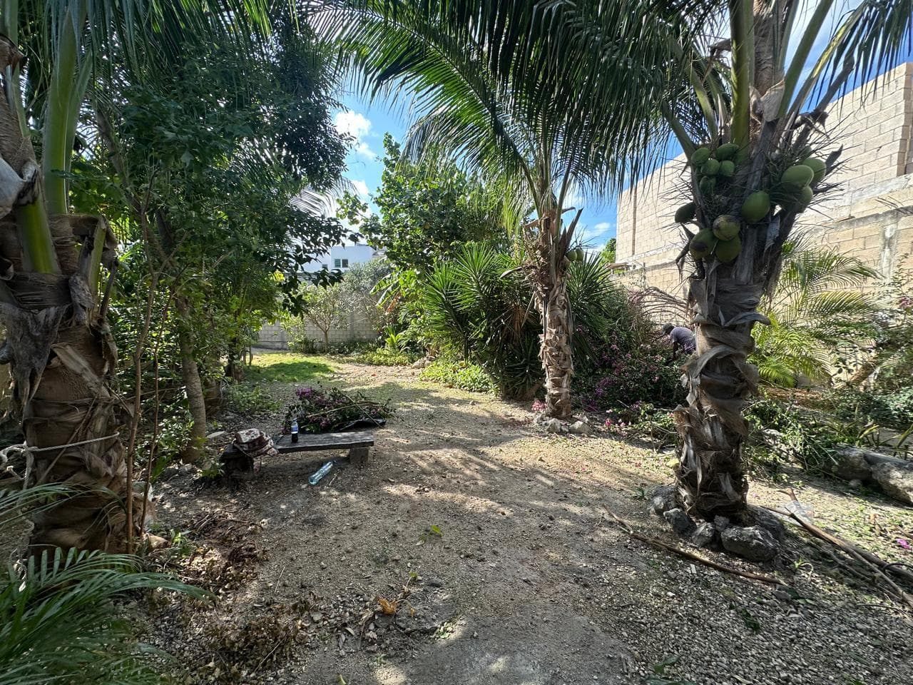 Land in HUAYACAN