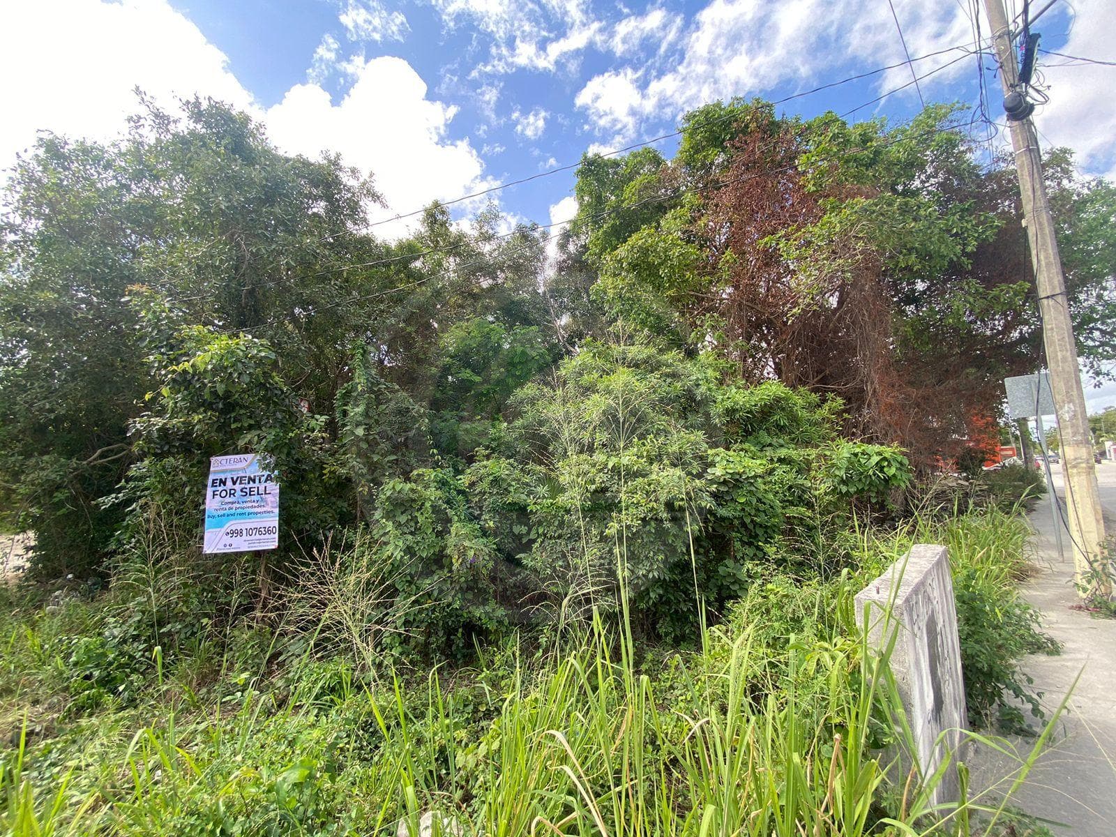 Land in FONATUR