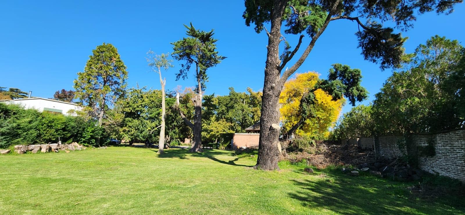 Land in Benavidez