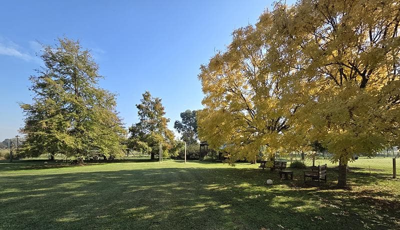 Country-Style House for Sale in Manzanares Pilar, San Francisco