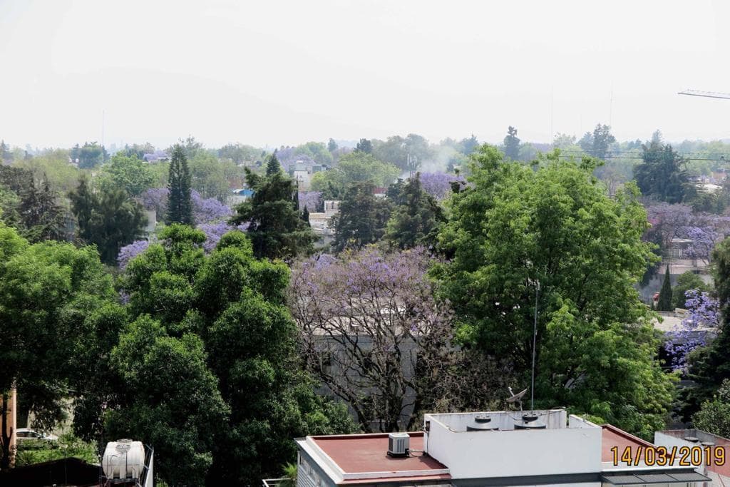 Apartment for Sale in Lomas de Chapultepec