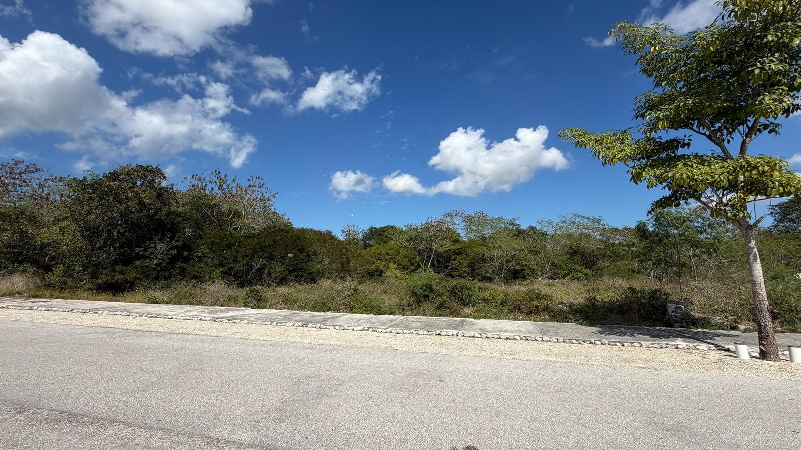 Land for Sale in Mérida, Dzidzil Ha Gated Community