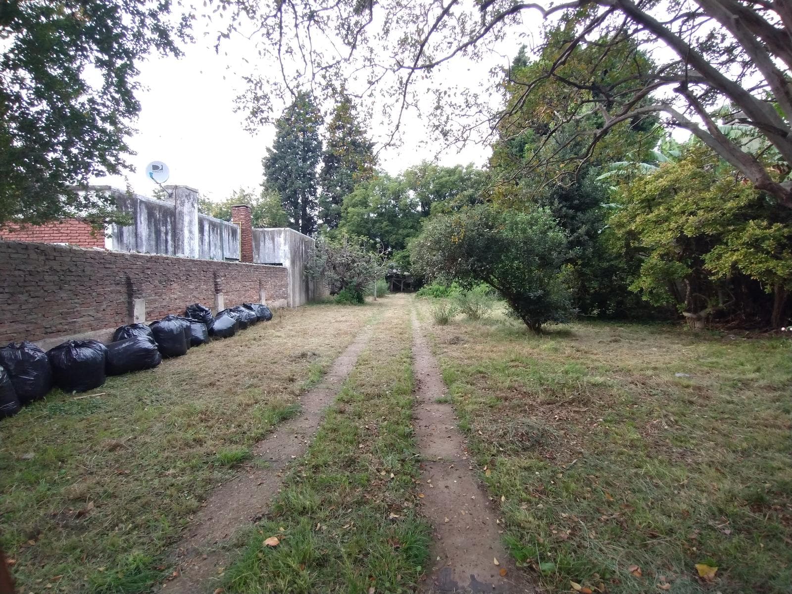 3-Bedroom House with a Spacious Garden and Great Potential in CLAYPOLE