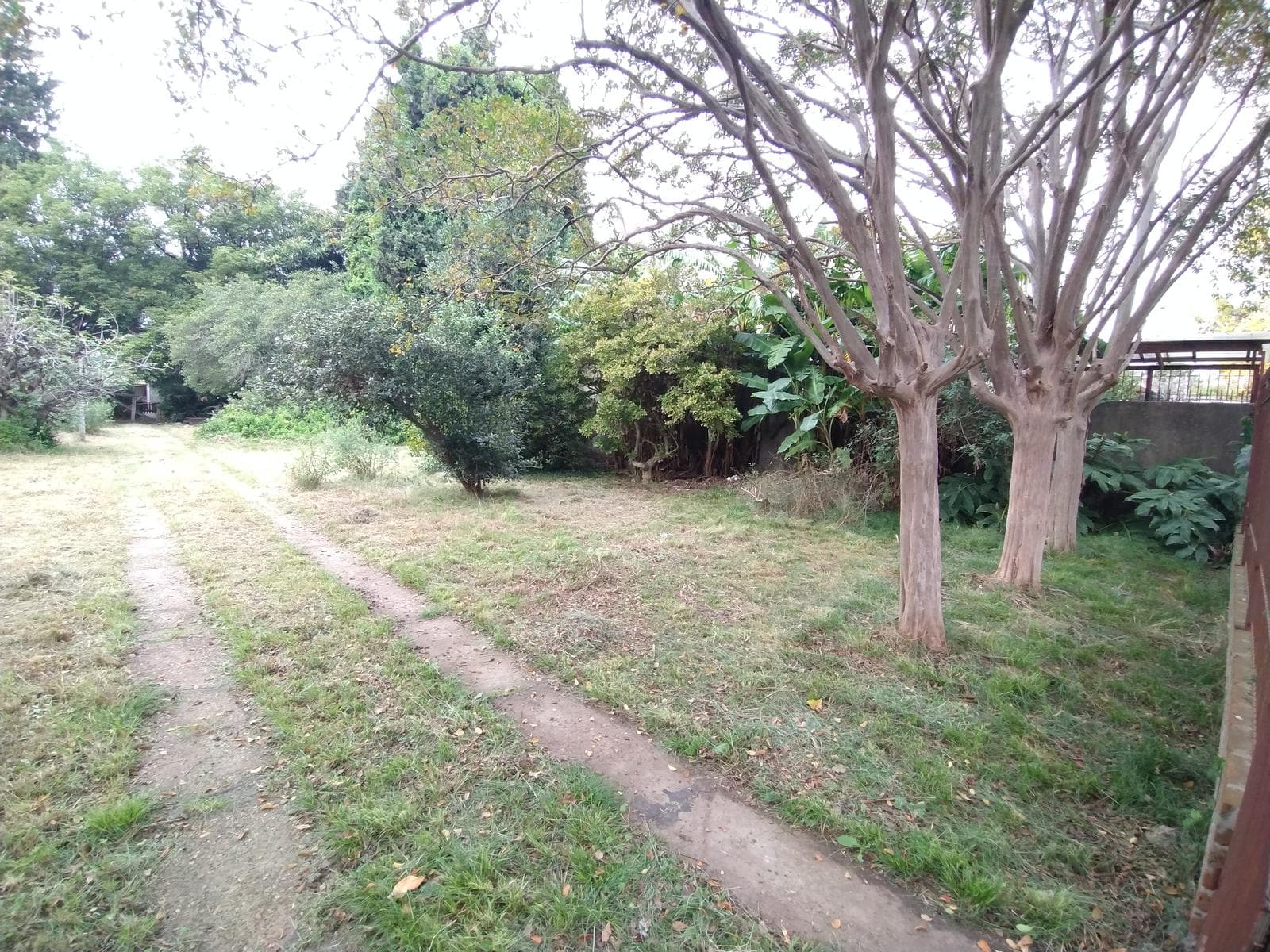 3-Bedroom House with a Spacious Garden and Great Potential in CLAYPOLE