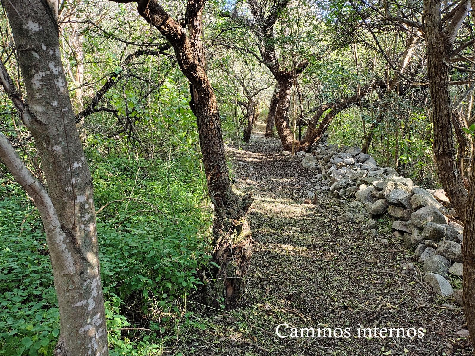 8,772 m² Lot on a Highway in Los Hornillos | Deed | Ideal for Tourism or Commercial Development