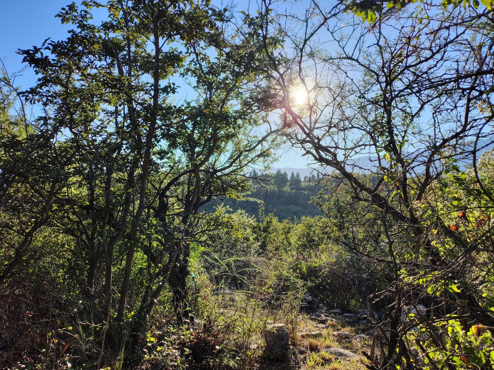 8,772 m² Lot on a Highway in Los Hornillos | Deed | Ideal for Tourism or Commercial Development