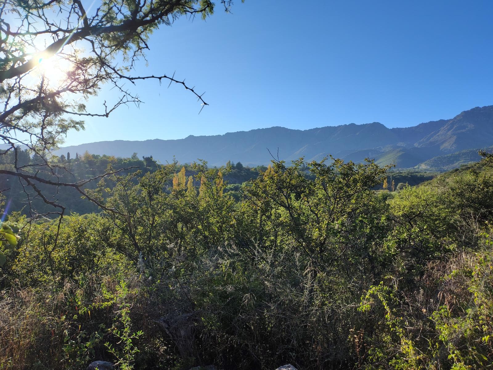 8,772 m² Lot on a Highway in Los Hornillos | Deed | Ideal for Tourism or Commercial Development