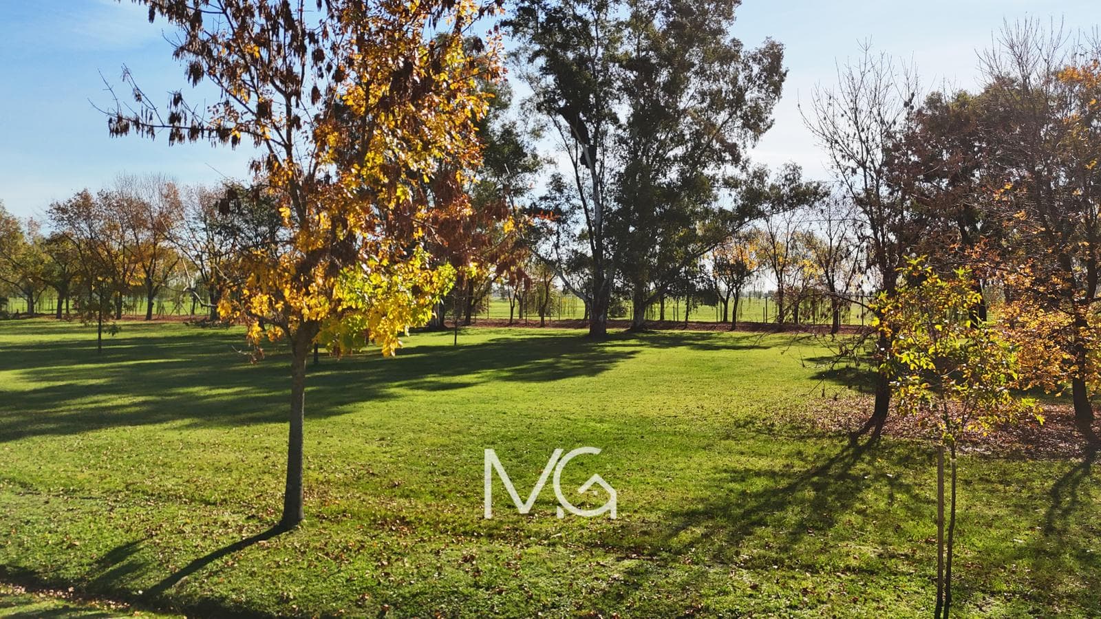 Land for Sale in Fincas de San Vicente Chacras