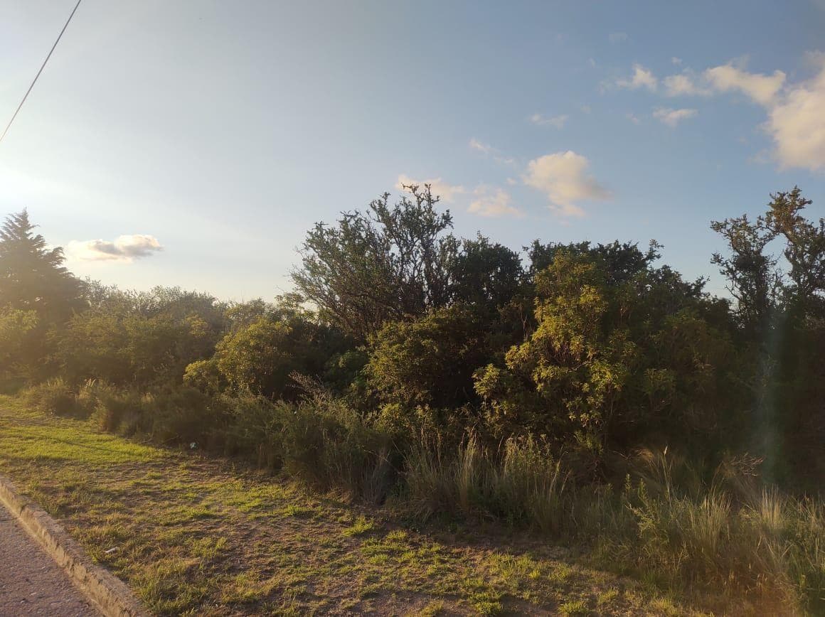 LAND FOR SALE IN LOS COCOS