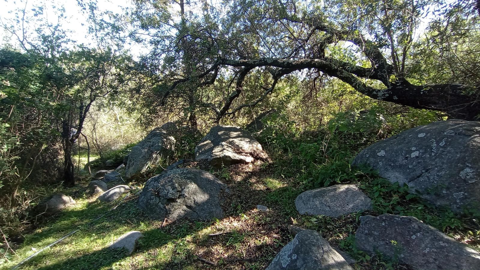 High-Altitude Ranch in Villa de Las Rosas | 2.5 Hectares | Nestled Between Mountains and Valleys