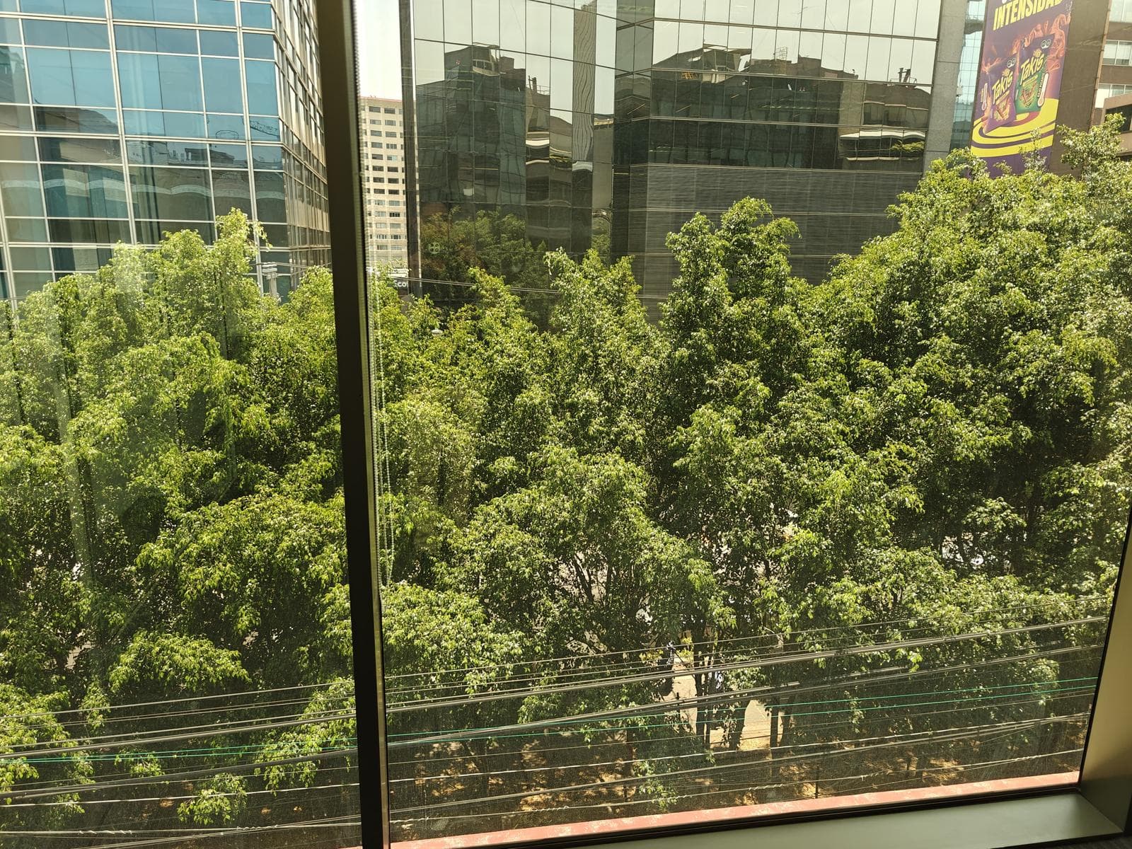 Office for Rent in Lomas de Chapultepec
