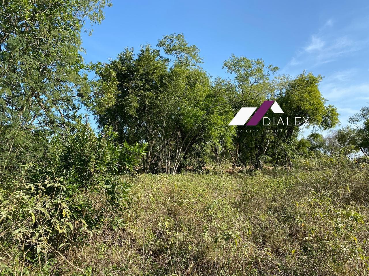 Land for SALE - Mil Encinos Rural Subdivision next to Bioparque Estrella, MONTEMORELOS