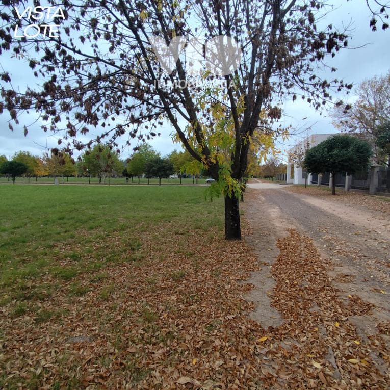 Lot in a Gated Community - Termas Villa Elisa