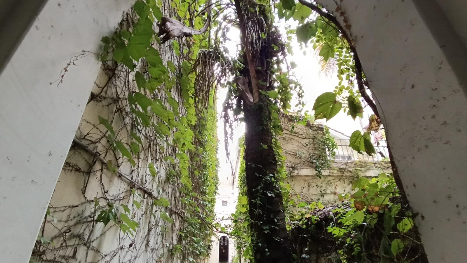 Furnished 3-room apartment, short-term rental package price in Palermo-Botánico