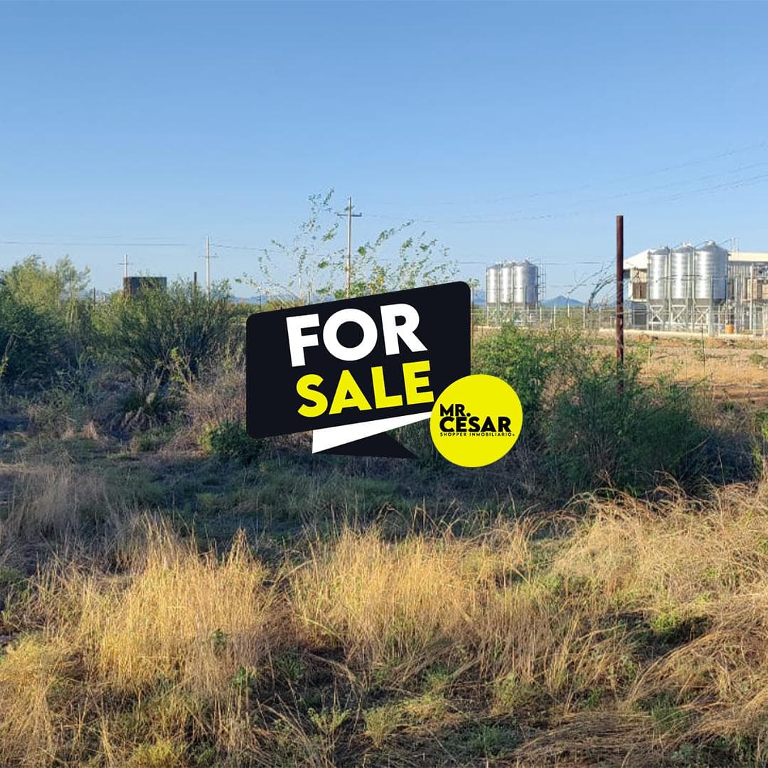 Land for Sale on the Road to La Colorada