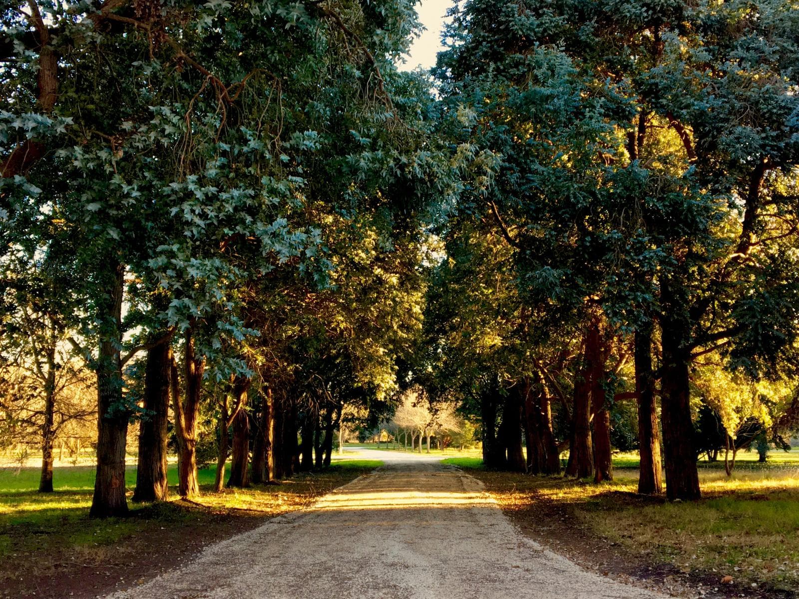 Land in Santa Clara Del Mar